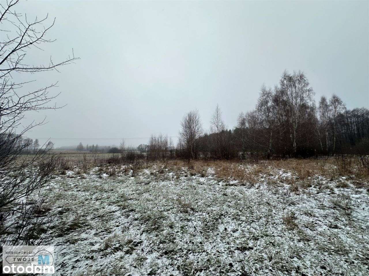 Działki rolne z lasem w Śladkowie Dużym - Pełny obrazek: 4/13