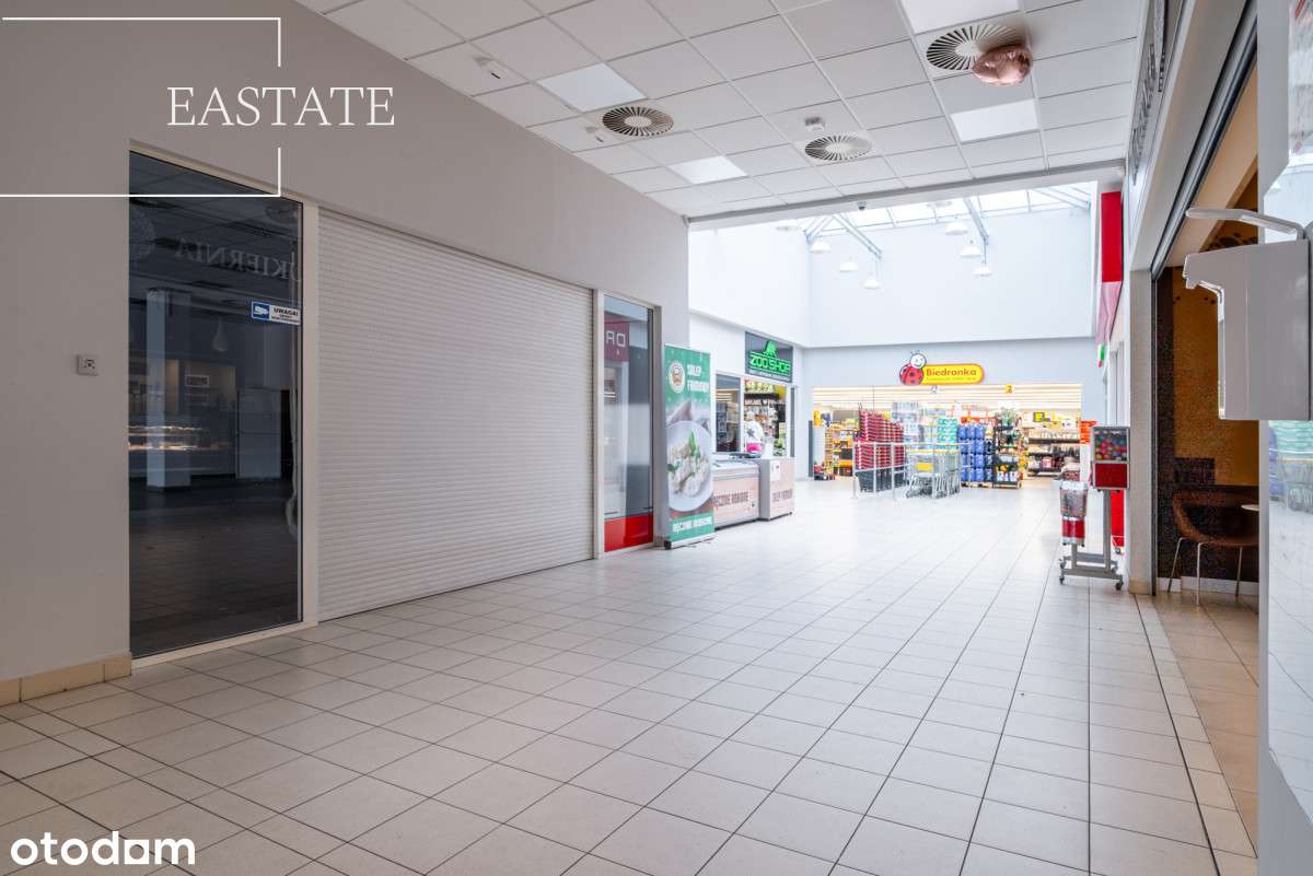 Atrakcyjny Lokal do Wynajęcia w Gdyni 278 m² MPark - Pełny obrazek: 2/16