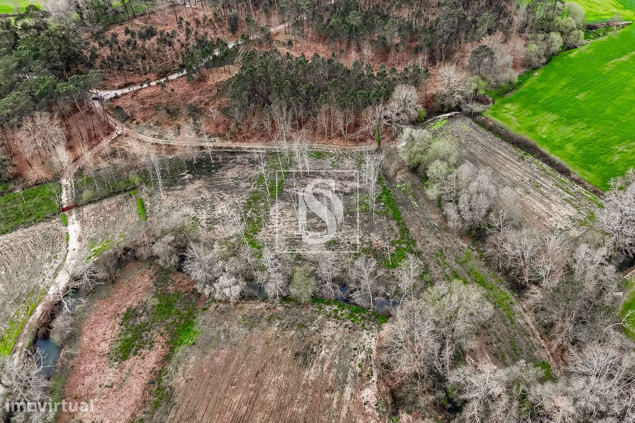 Terreno Rústico  Venda em Associação de freguesias do Vale do Neiva,Po-10