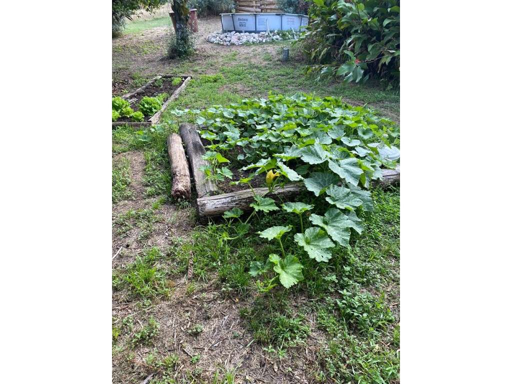 Moradia tipologia T2-24