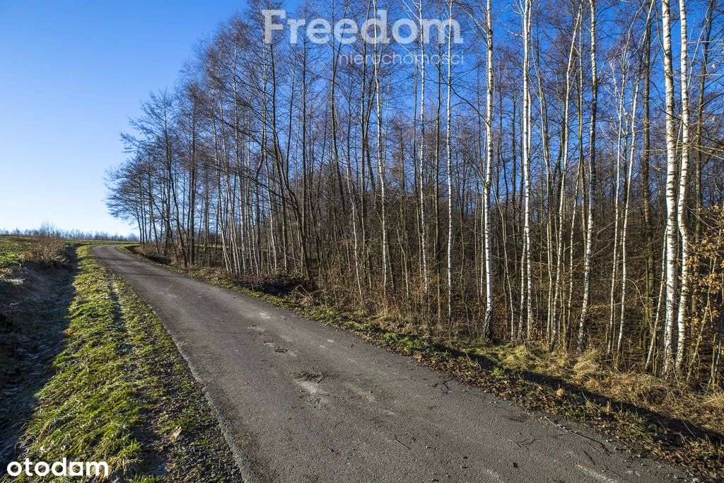 Zadrzewiona działka z widokiem – Błędowa Tycz-9