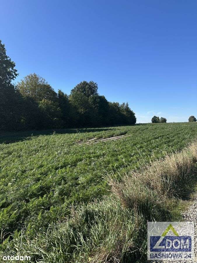 2 działki pod Lublinem-5