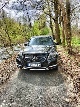 Mercedes-Benz GLK 250 CDI BlueTEC 4-Matic - 2