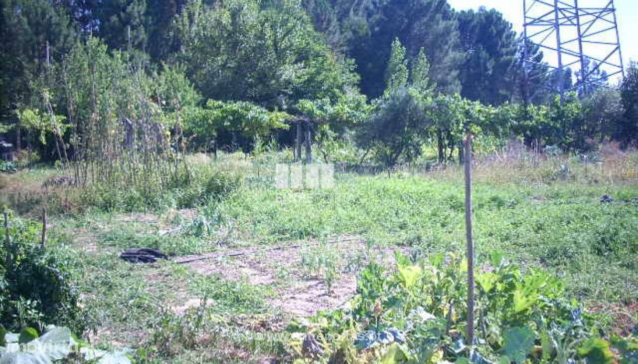 Venda Terreno, Espadanedo, Cinfães - Grande imagem: 5/14