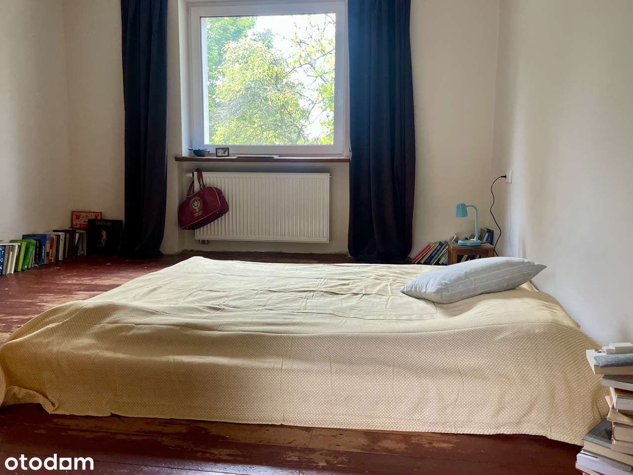 Dom, 520 m², Zielona Góra-17