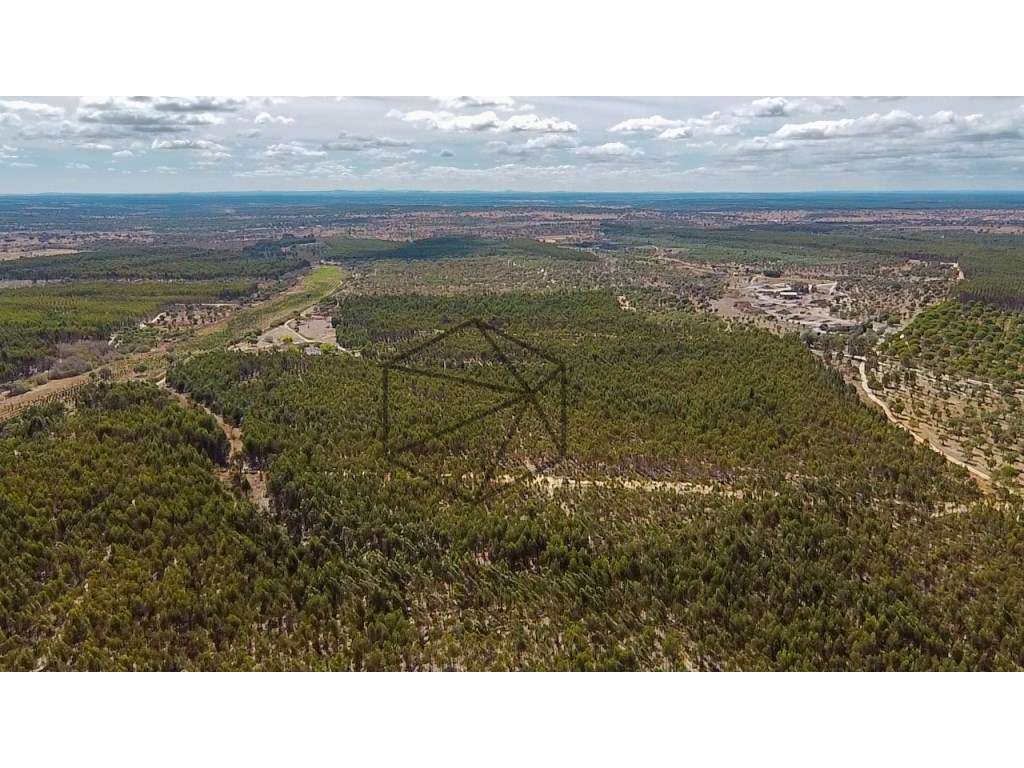 Herdade com 168 hectares em Ponte de Sôr para venda - Grande imagem: 2/33