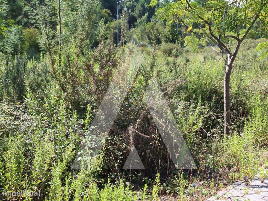 Terreno em Águeda - Grande imagem: 5/7