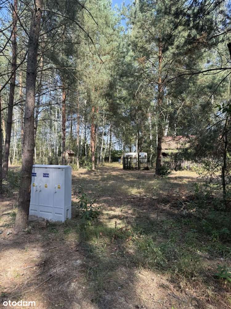 Działka budowlana, las, cisza, 40 km od Warszawy-4