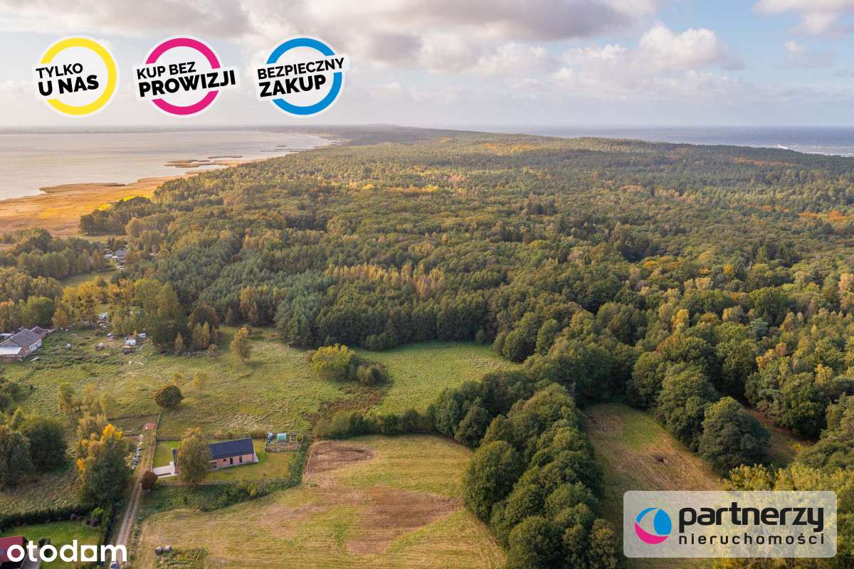 Okazja! działki budowlane Krynica Morska - Pełny obrazek: 5/7