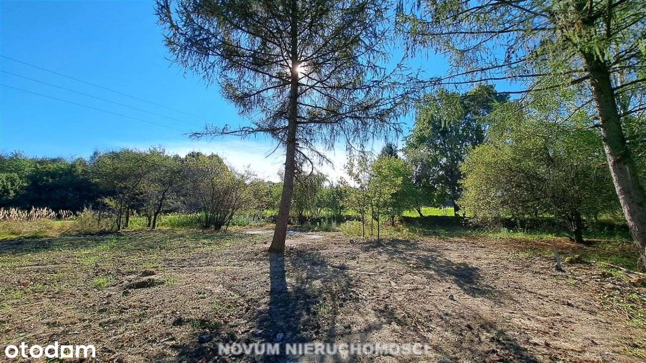 Działka Szałsza z widokiem na Las - Pełny obrazek: 4/4