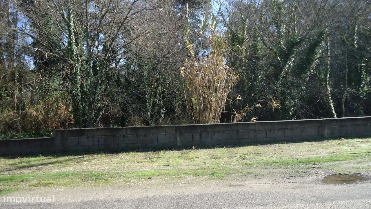 Terreno próximo de Aveiro - Grande imagem: 2/21