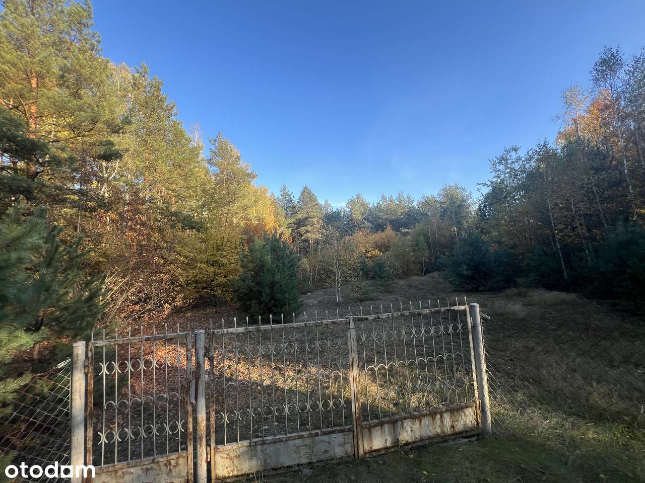 Działka z WZ z linią brzegową Mieni i Rezerwatem Świder - Pełny obrazek: 3/17