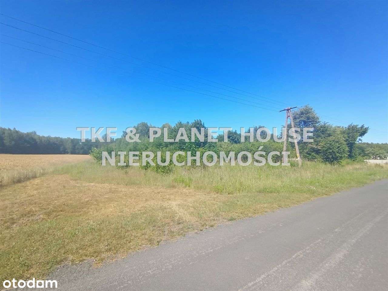 Sprzedane Działka 3711 m2 Młoszów gm. Wolbórz - Pełny obrazek: 2/3