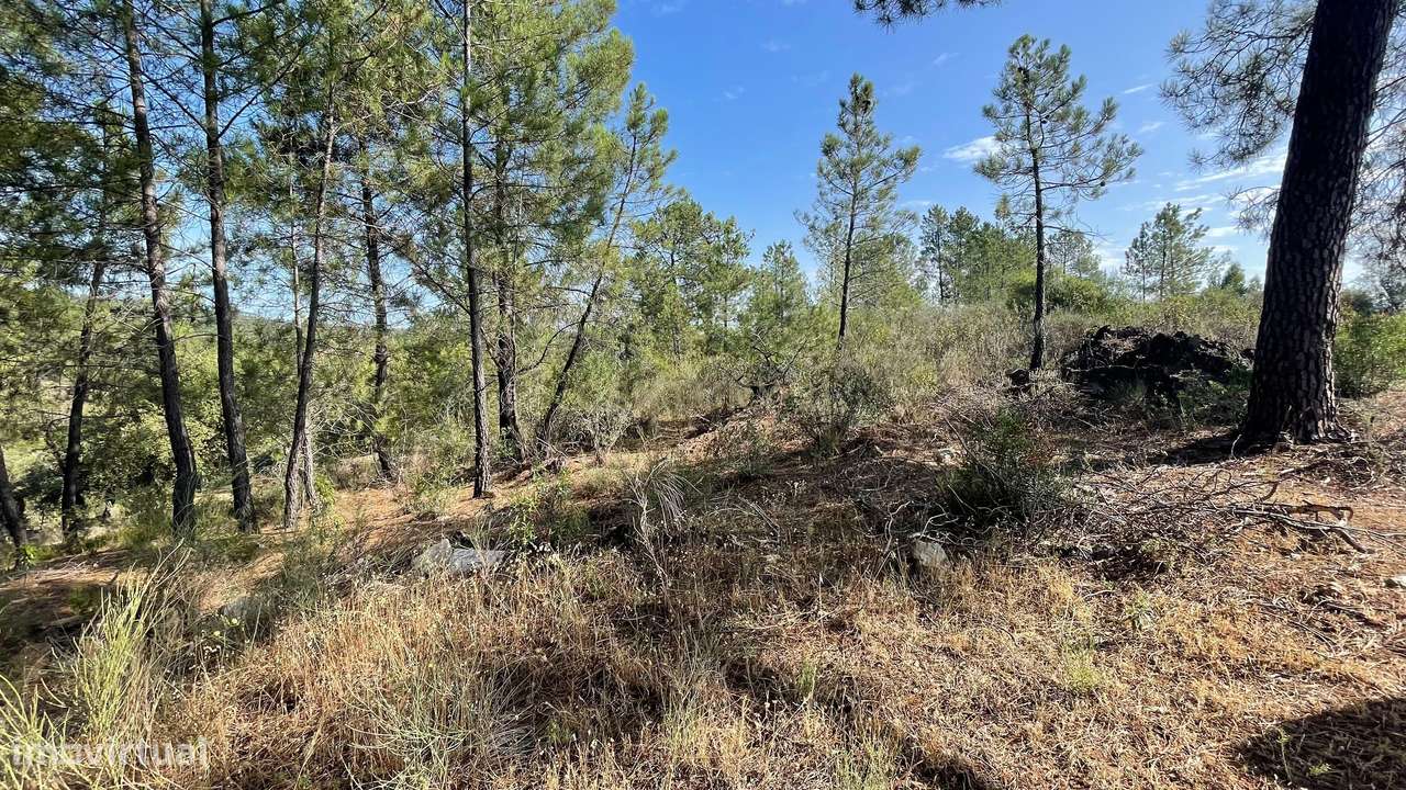 Terreno rústico, Cebolais de Cima, Castelo Branco - Grande imagem: 3/5