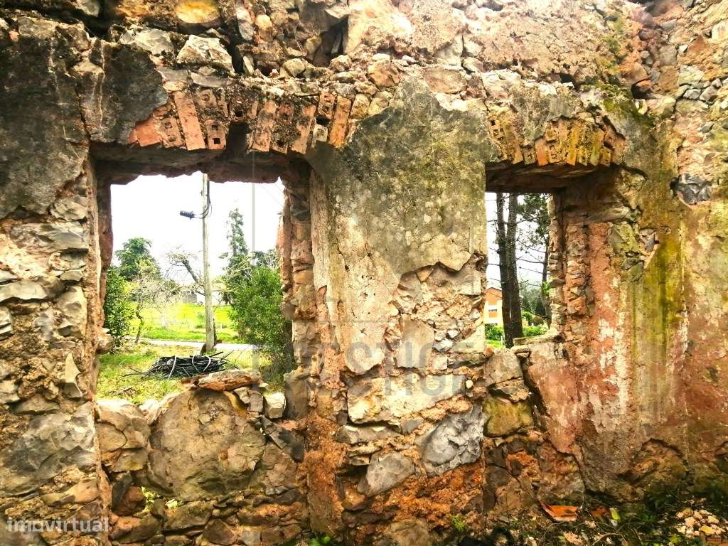 Terreno urbano na Serra da Boa Viagem - Grande imagem: 5/11