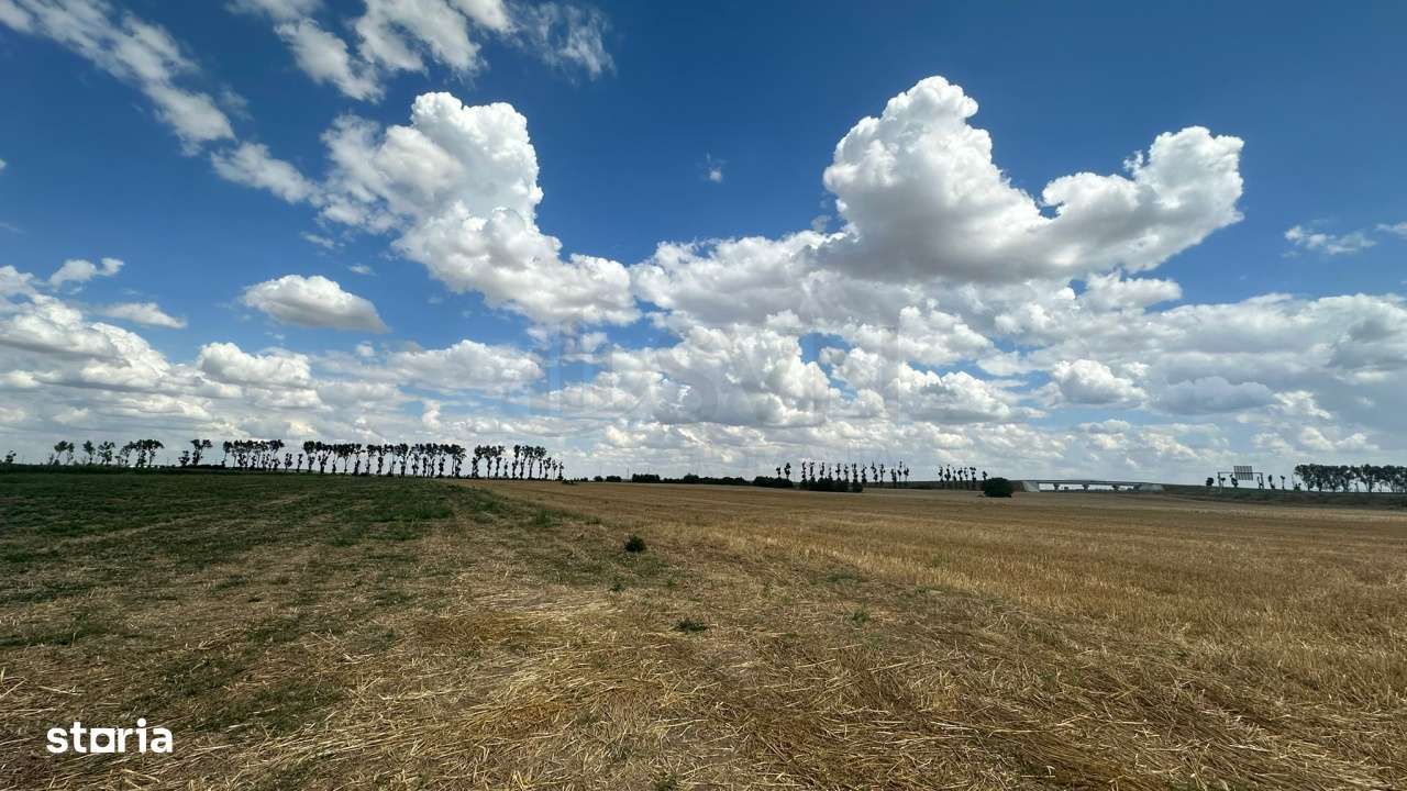 Teren Stefanesti - Imagine principală: 4/4