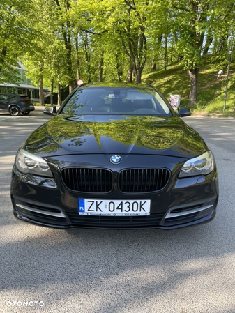 BMW Seria 5 520d Luxury Line - 6