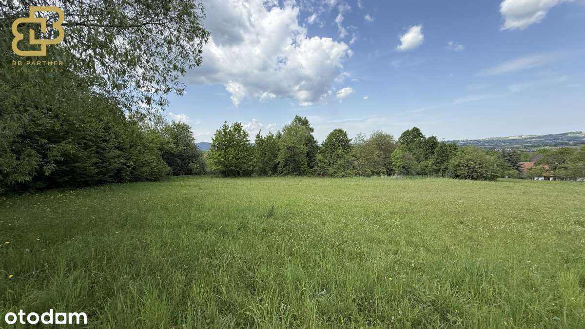 Twoja przestrzeń w naturze – działka 1,78 ha-3