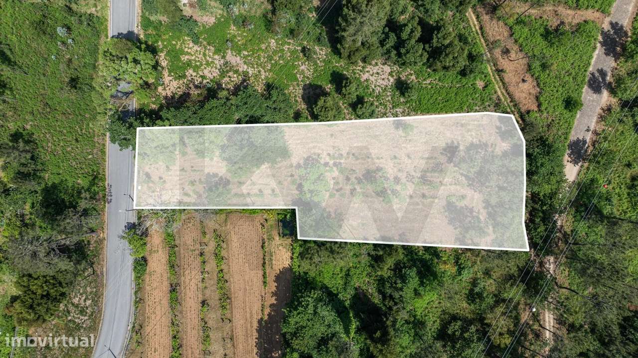 Terreno com PIP aprovado em Orbacém - Caminha - Grande imagem: 5/16