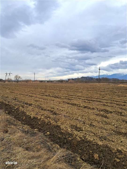 Teren extravilan Avrig-7