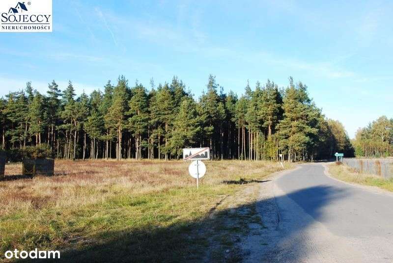 Działka siedliskowa - Krzyż - 12 001 m2-7