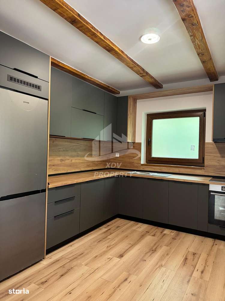 Pensiune/ Vila Valea Avrigului-16