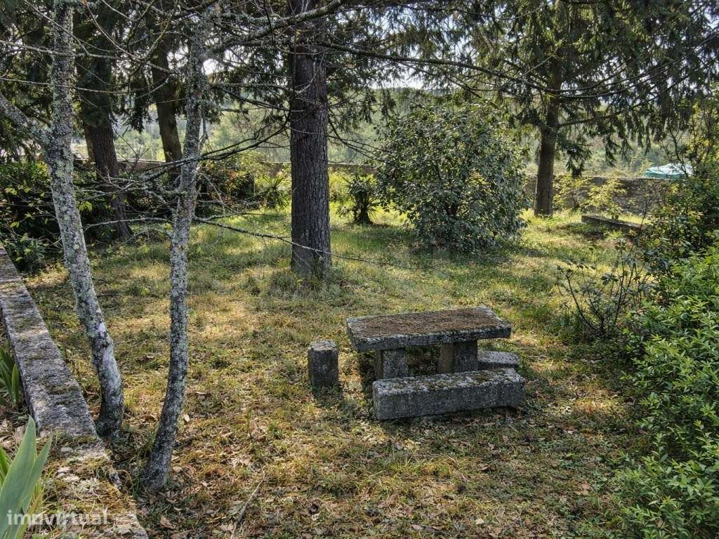 ATIVO TURÍSTICO + QUINTA DE EXCEÇÃO NA BEIRA ALTA-19