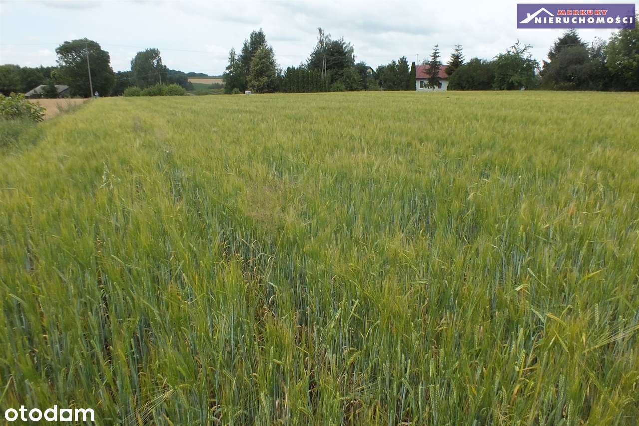 Działka budowlana przy ul. Słowackiego-4