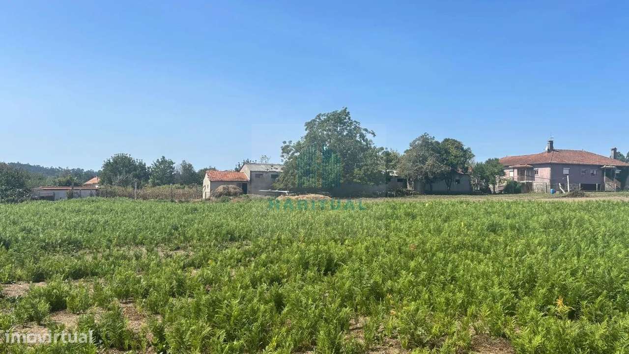 QUINTA EM VALENÇA COM 17.000 M2 DE ÁREA - Grande imagem: 5/32