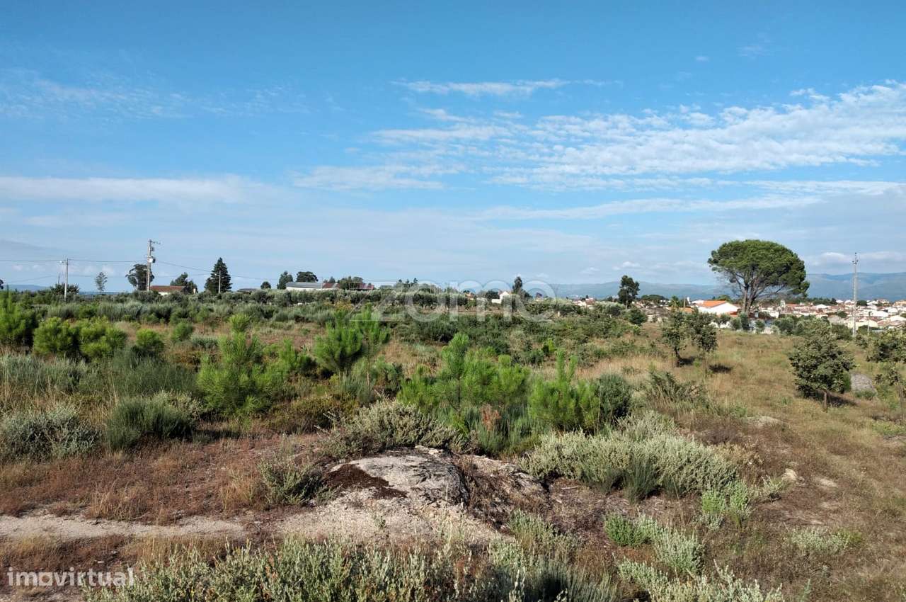 Terreno 1490m2 em Lagares - Coimbra - Grande imagem: 5/15