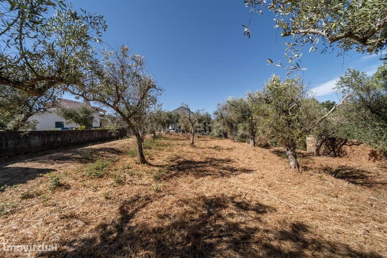 Lote / Covilhã, Dominguiso - Grande imagem: 5/10