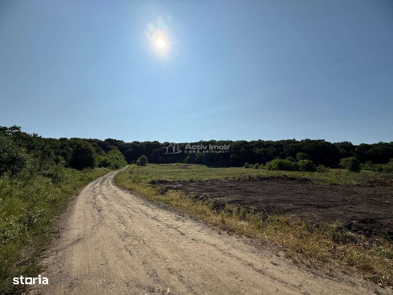 Teren de vanzare la liziera padurii  Sura Mare - Imagine principală: 5/6