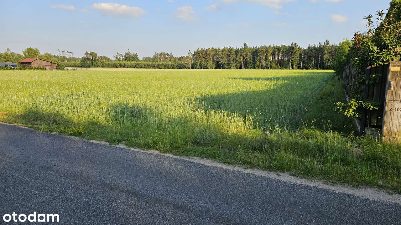 Działki Bory Tucholskie przy lesie, blisko jezior z warunkami zabudowy - Pełny obrazek: 4/8