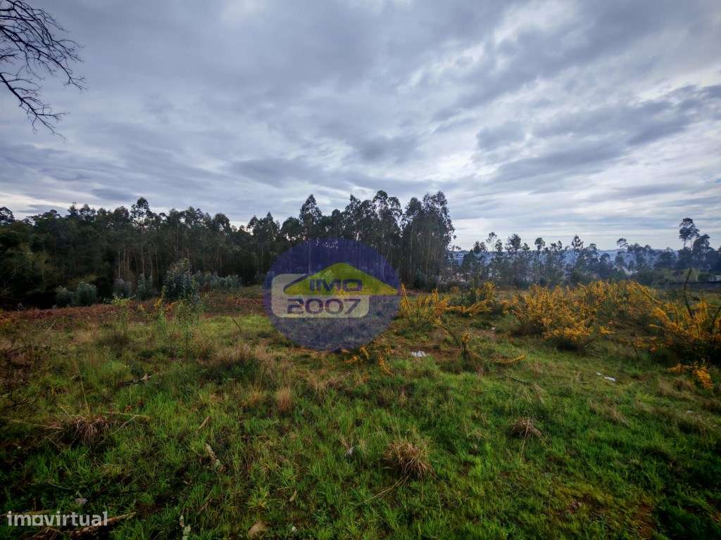 Terreno com viabilidade construção em altura - Grande imagem: 2/21
