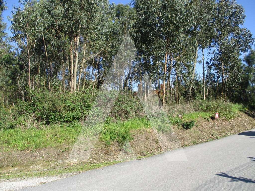 Terreno em Bustos - Grande imagem: 3/8