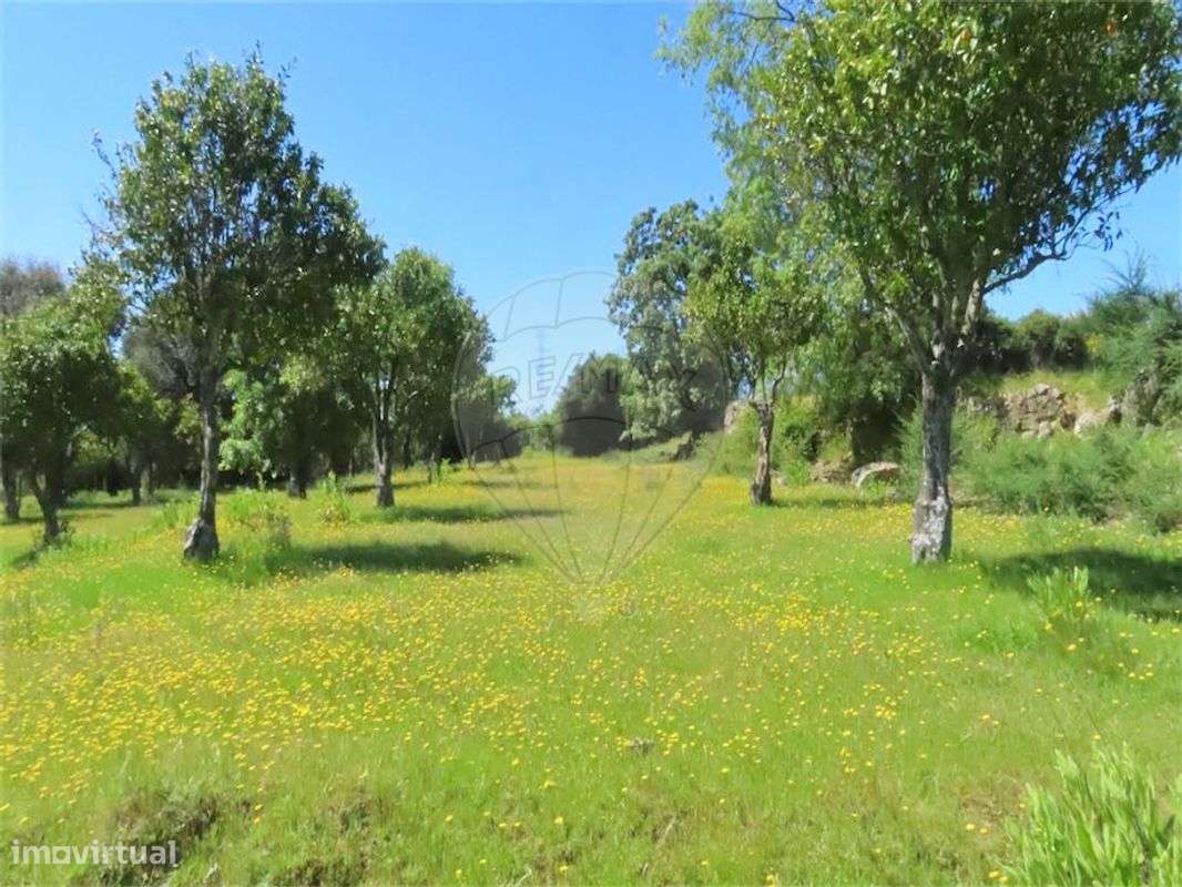 Quinta  para venda - Grande imagem: 3/50