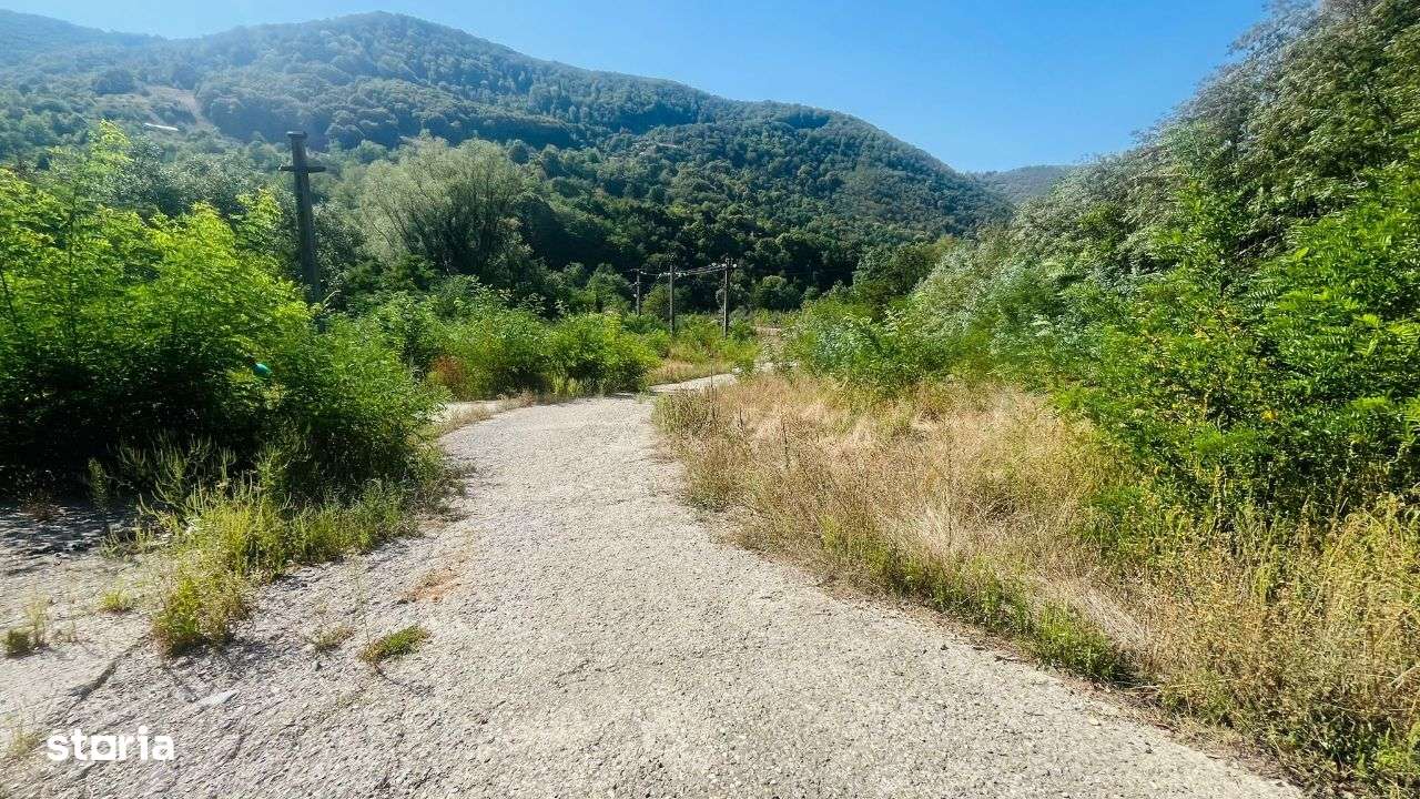 Teren Intravilan De Vanzare Pe Transalpina ,Valea Sebesului - Imagine principală: 5/20