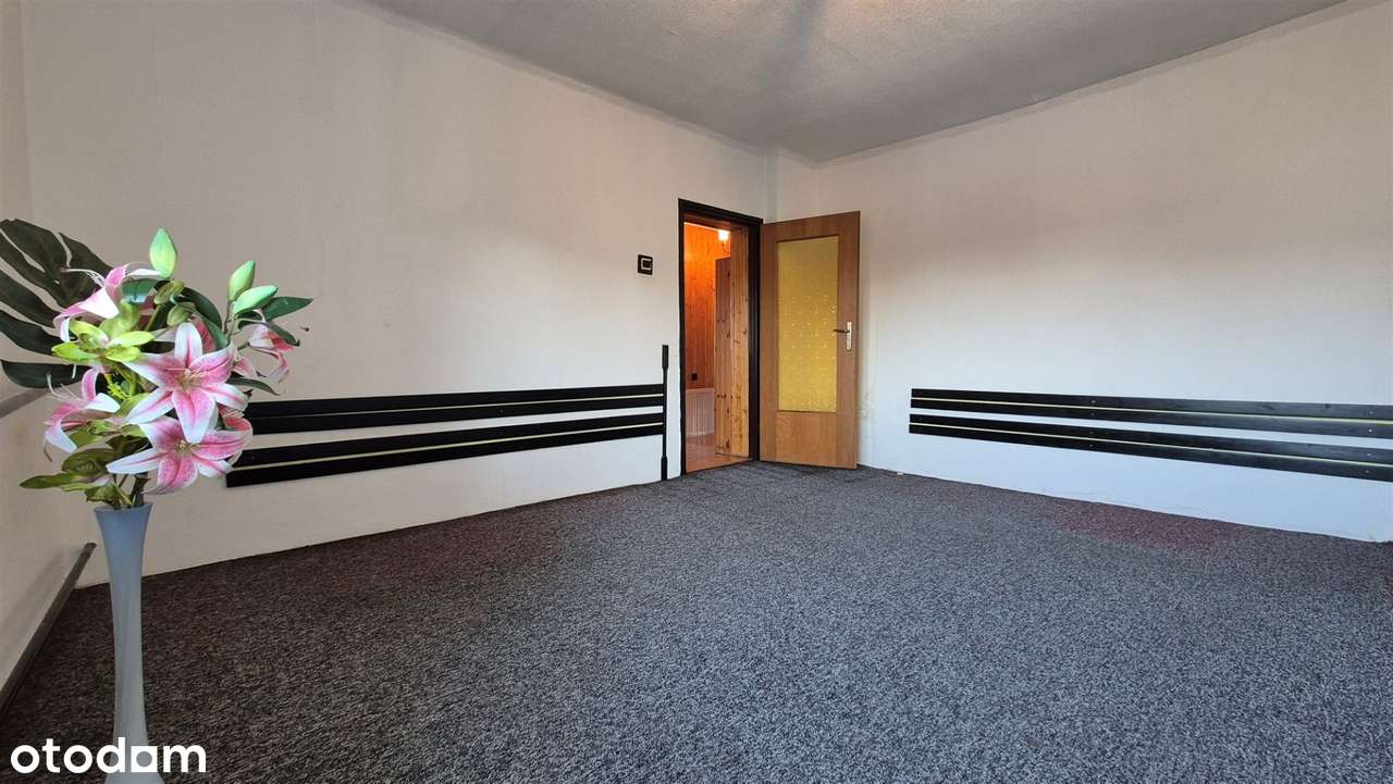 Do aranżacji|Możliwość 2 mieszkań|Blisko las|Term-9