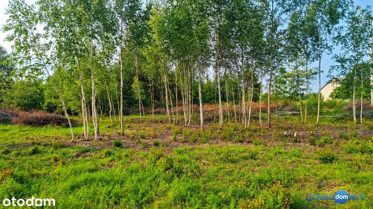 Działki budowlane 8 minut od Radomia (bez prowizji)-2
