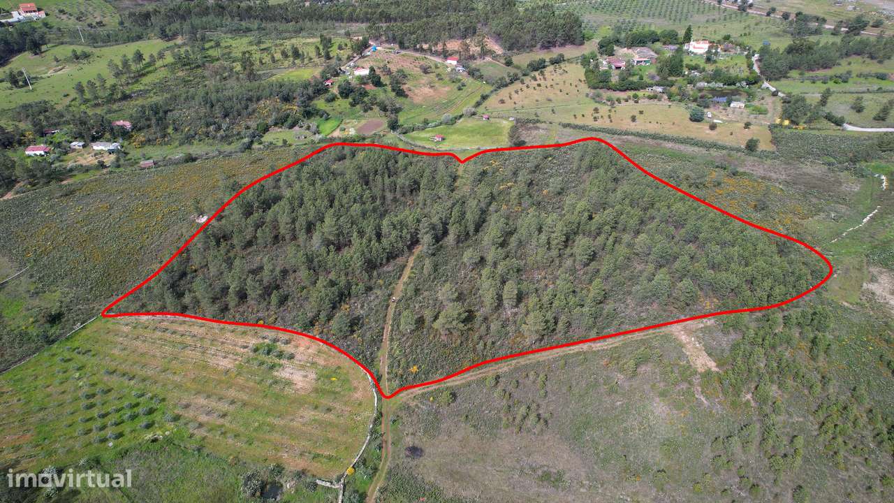 Terreno - Grande imagem: 2/6