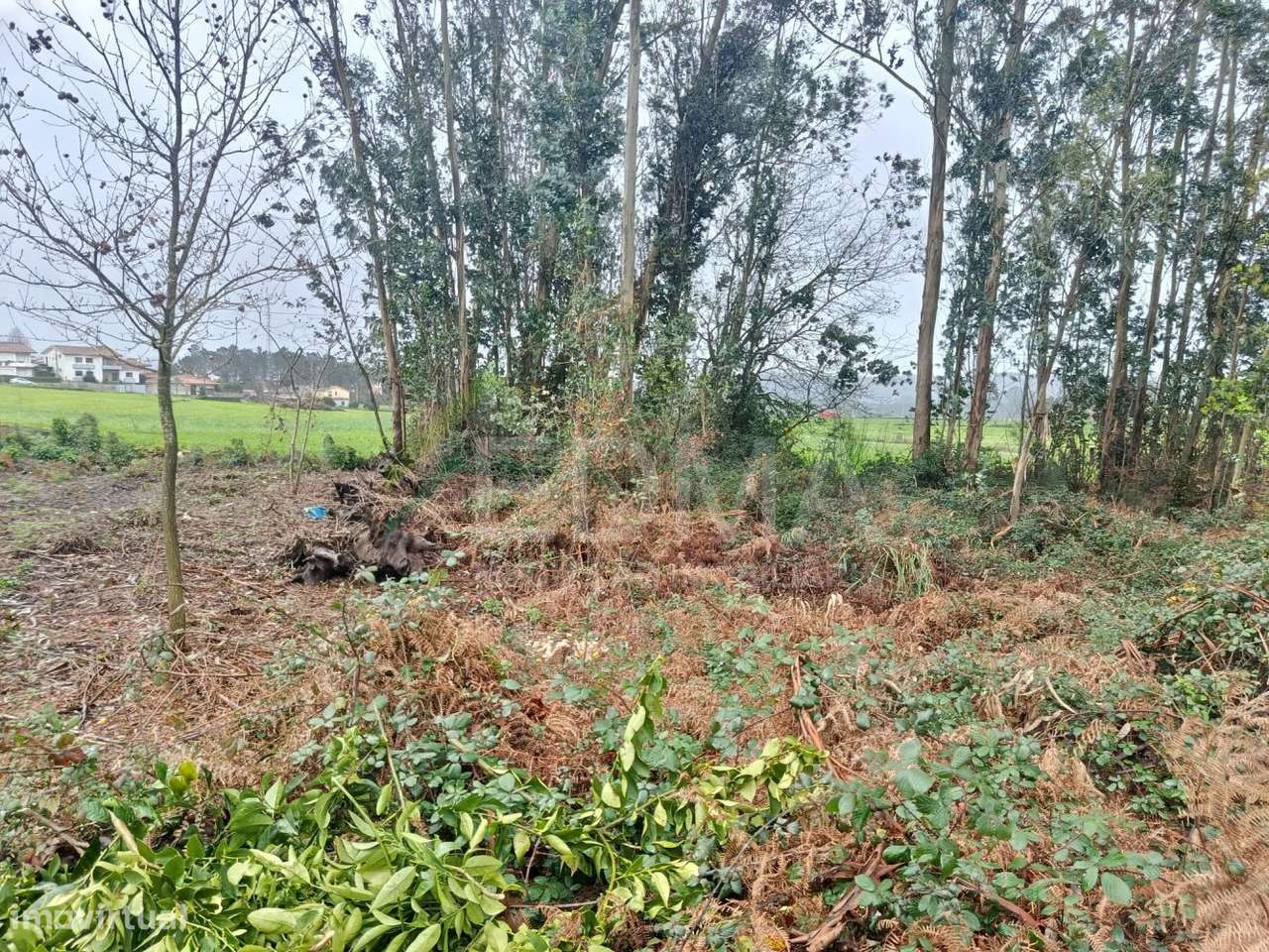 Terreno - Grande imagem: 2/8