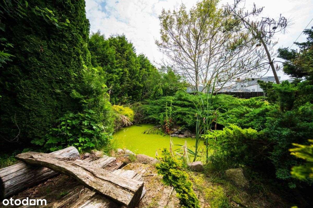 Ostoja spokoju wśród kaszubskich pól - Pełny obrazek: 5/19