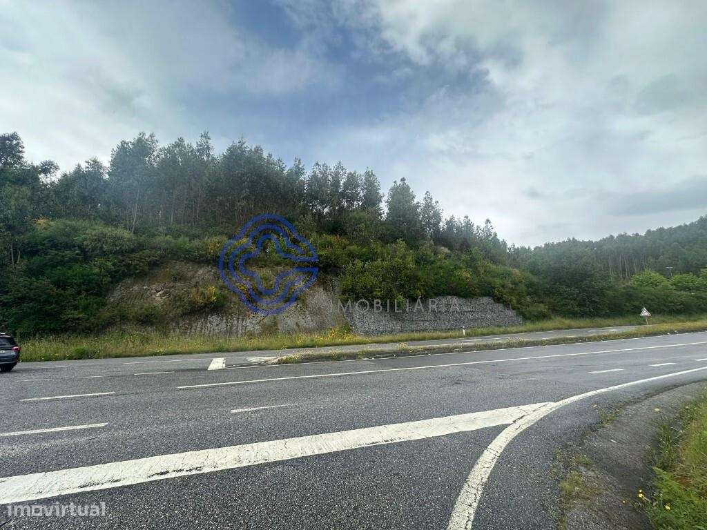 Terreno | Frades | 4907 m2 - Grande imagem: 4/6