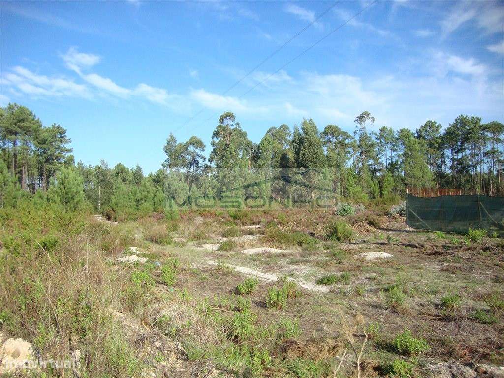 Terreno - Grande imagem: 3/4