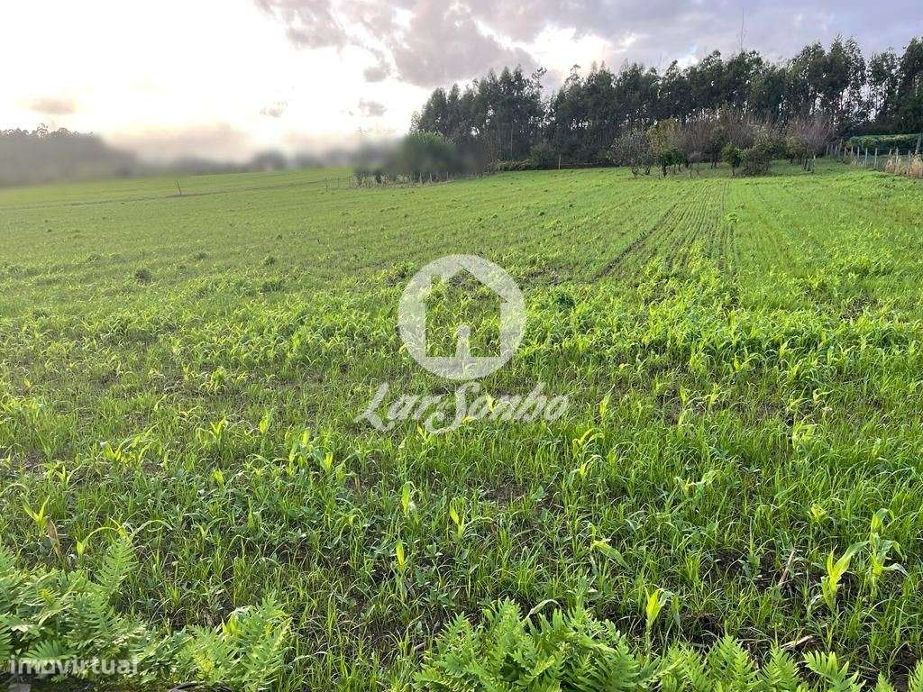 Terreno para construção com 1231,6m2 em Balazar, Póvoa de Varzim! - Grande imagem: 5/9