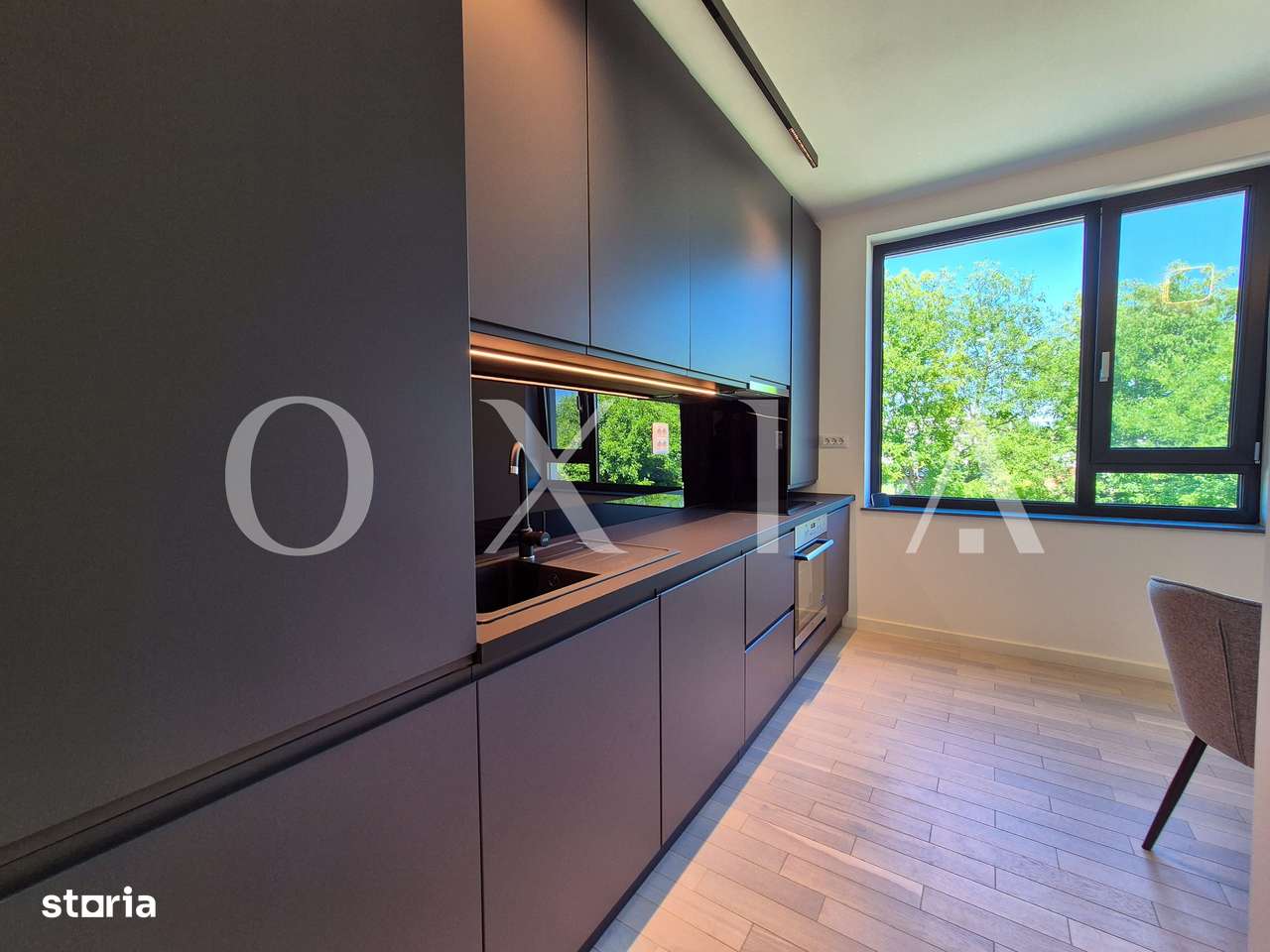 AX1068 Dumbravita, Bulevardul Petre Tutea, Prima Inchiriere - Imagine principală: 3/19