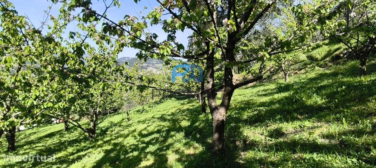 Quinta do Valado- Excelente Investimento em Resende-45