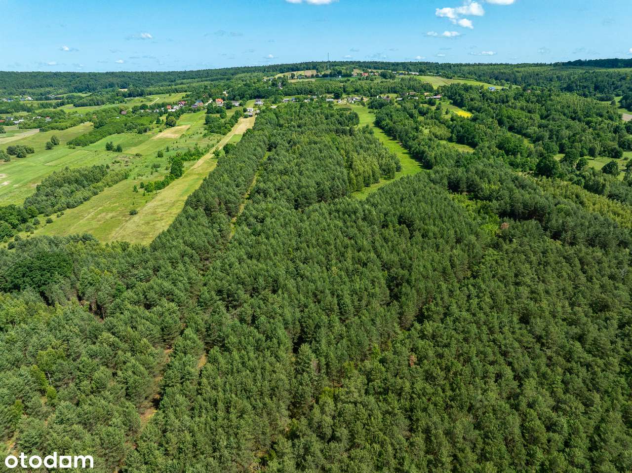 1,79 ha BUDOWLANKI w Górach Świętokrzyskich - Pełny obrazek: 3/16