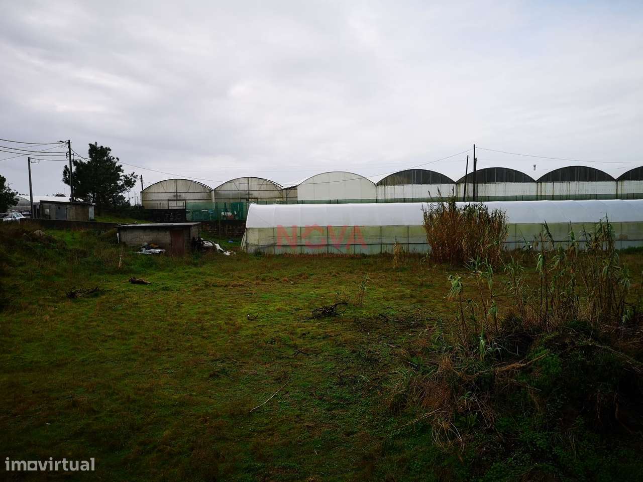 Terreno rustico Estela | NOVA Imobiliária - Grande imagem: 4/5