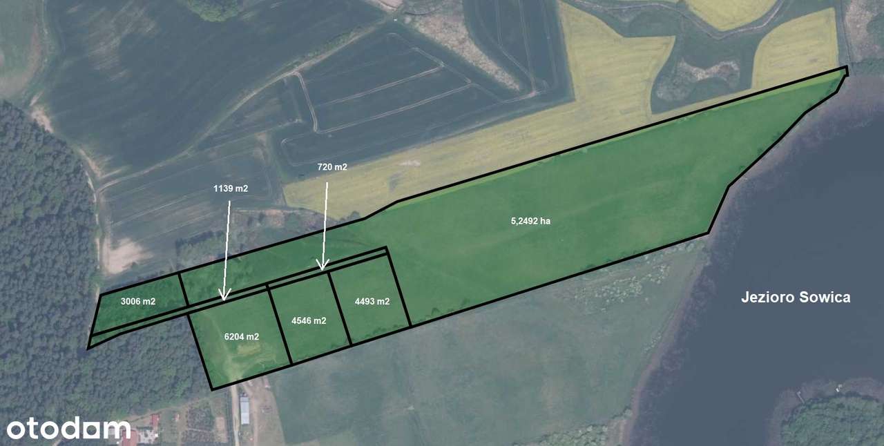 Działka nad jeziorem w okolicach Prabut - Pełny obrazek: 3/15